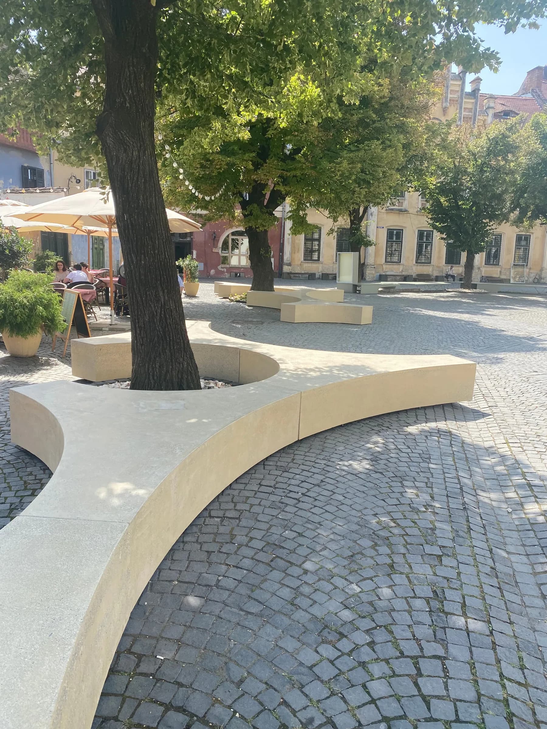 Concrete modules with curved sides, grouped around a tree on the square's stone-sett paving